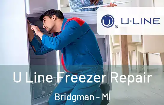  U Line Freezer Repair Bridgman - MI