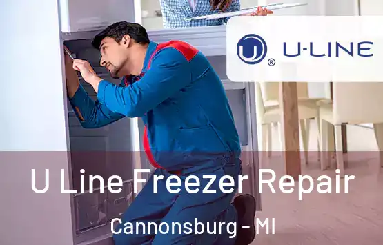  U Line Freezer Repair Cannonsburg - MI