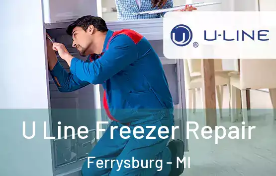  U Line Freezer Repair Ferrysburg - MI