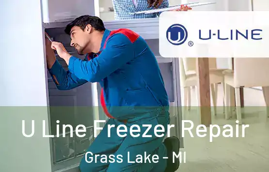  U Line Freezer Repair Grass Lake - MI