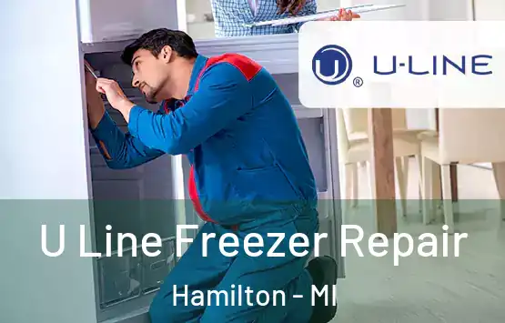 U Line Freezer Repair Hamilton - MI