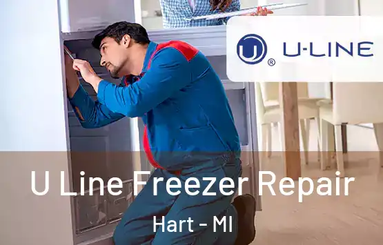  U Line Freezer Repair Hart - MI
