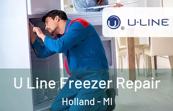  U Line Freezer Repair Holland - MI