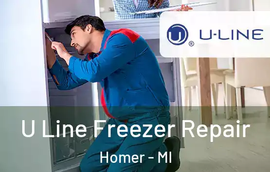  U Line Freezer Repair Homer - MI