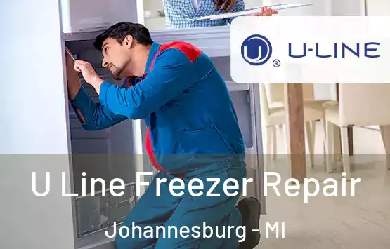  U Line Freezer Repair Johannesburg - MI