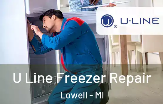  U Line Freezer Repair Lowell - MI