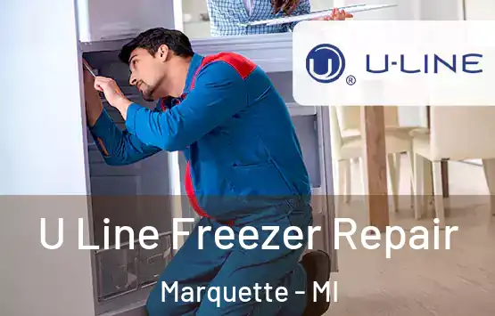  U Line Freezer Repair Marquette - MI