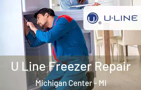  U Line Freezer Repair Michigan Center - MI