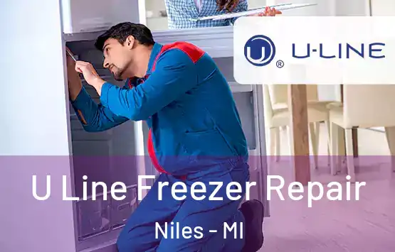  U Line Freezer Repair Niles - MI