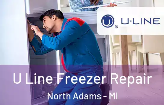  U Line Freezer Repair North Adams - MI