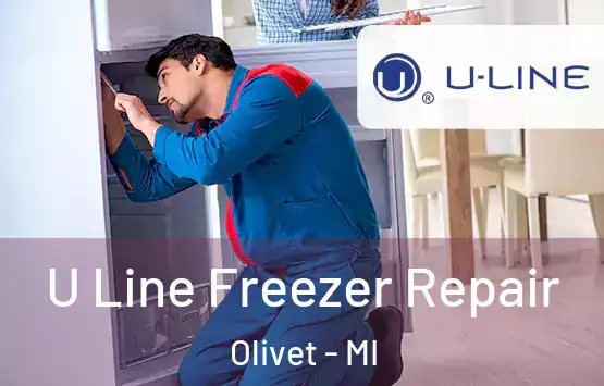  U Line Freezer Repair Olivet - MI