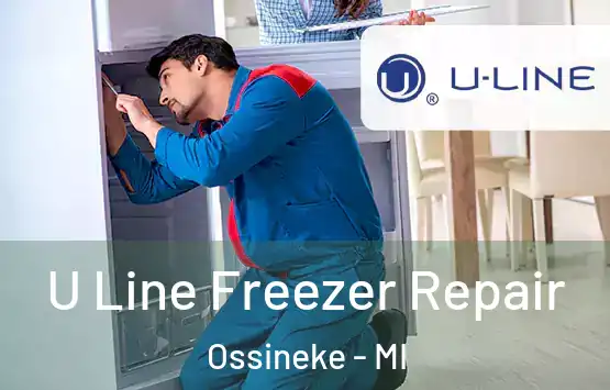  U Line Freezer Repair Ossineke - MI