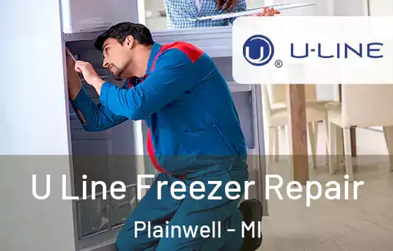  U Line Freezer Repair Plainwell - MI