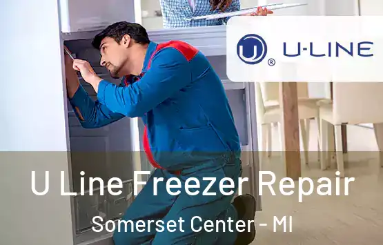  U Line Freezer Repair Somerset Center - MI