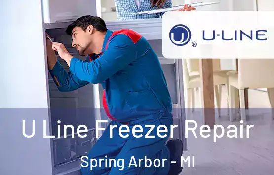  U Line Freezer Repair Spring Arbor - MI