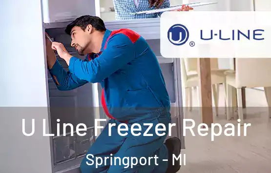  U Line Freezer Repair Springport - MI