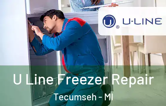  U Line Freezer Repair Tecumseh - MI