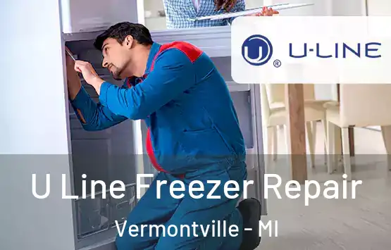  U Line Freezer Repair Vermontville - MI