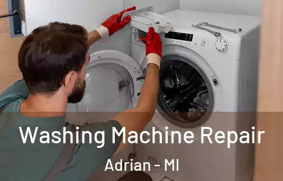  Washing Machine Repair Adrian - MI