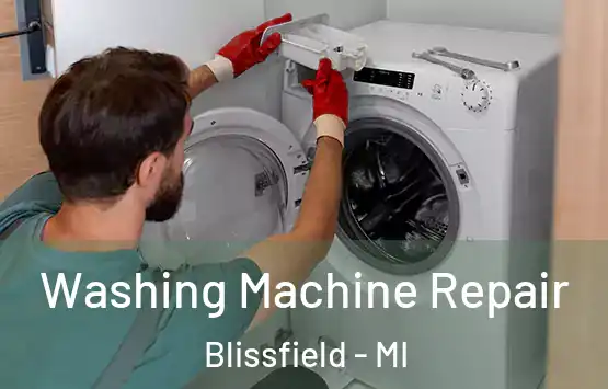  Washing Machine Repair Blissfield - MI