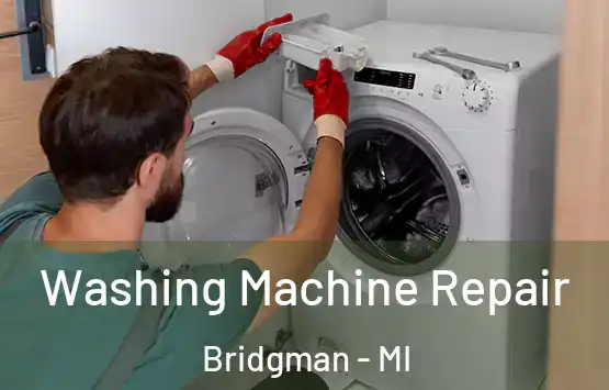  Washing Machine Repair Bridgman - MI
