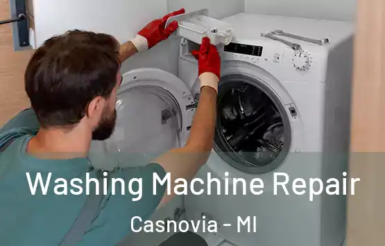  Washing Machine Repair Casnovia - MI