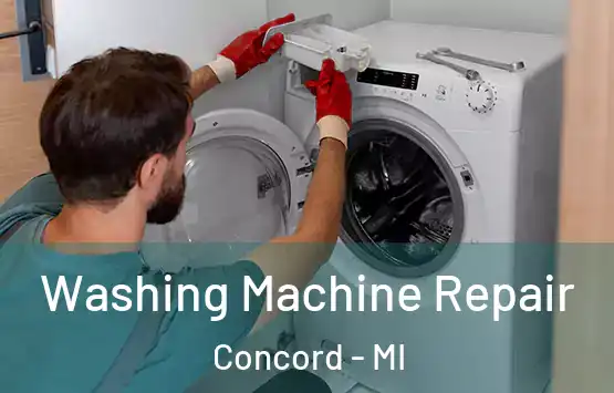  Washing Machine Repair Concord - MI