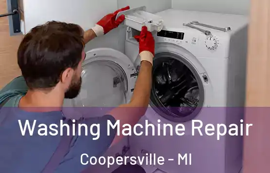  Washing Machine Repair Coopersville - MI