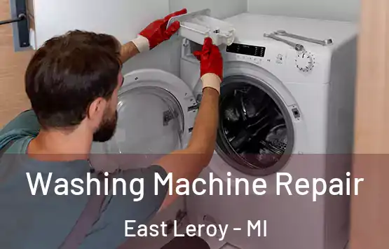  Washing Machine Repair East Leroy - MI