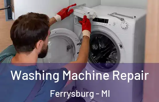  Washing Machine Repair Ferrysburg - MI