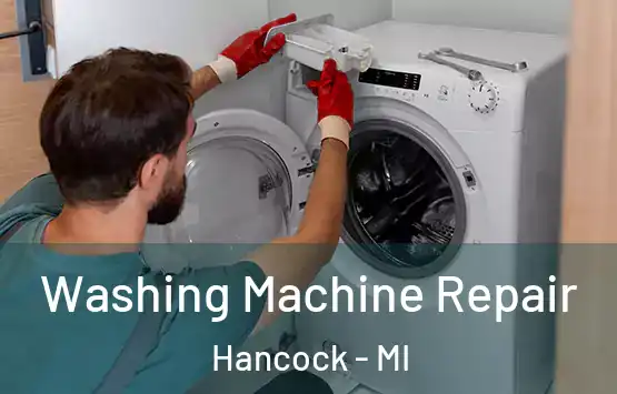  Washing Machine Repair Hancock - MI