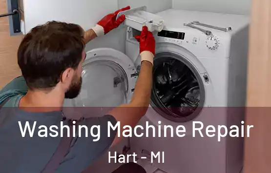  Washing Machine Repair Hart - MI