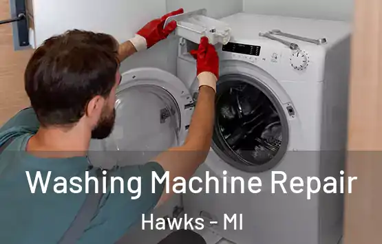  Washing Machine Repair Hawks - MI