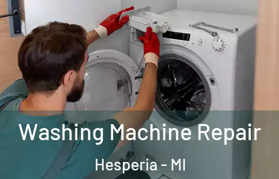  Washing Machine Repair Hesperia - MI