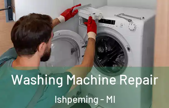  Washing Machine Repair Ishpeming - MI