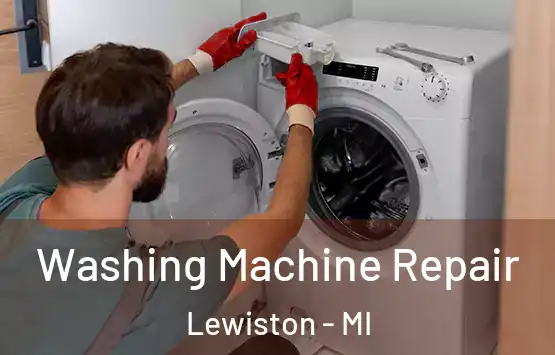  Washing Machine Repair Lewiston - MI