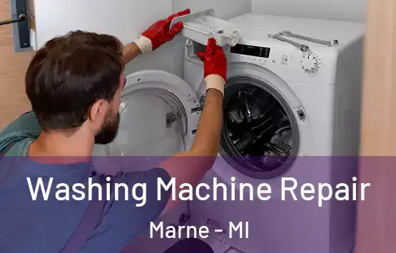  Washing Machine Repair Marne - MI