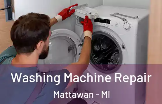  Washing Machine Repair Mattawan - MI
