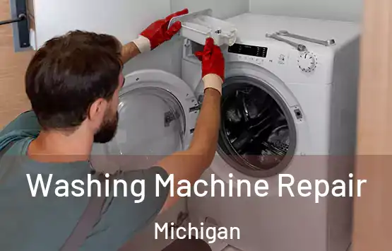  Washing Machine Repair Michigan