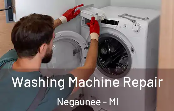  Washing Machine Repair Negaunee - MI