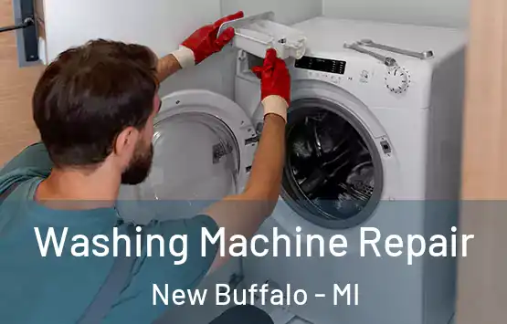  Washing Machine Repair New Buffalo - MI
