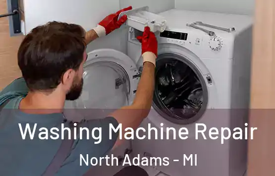  Washing Machine Repair North Adams - MI