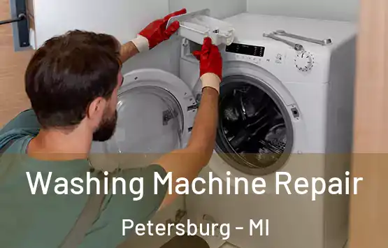  Washing Machine Repair Petersburg - MI