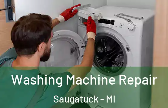  Washing Machine Repair Saugatuck - MI