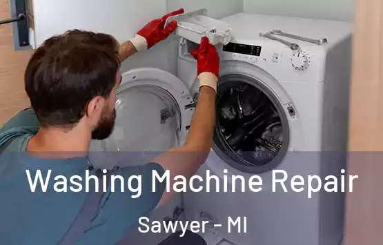  Washing Machine Repair Sawyer - MI