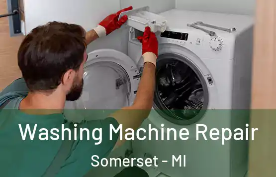  Washing Machine Repair Somerset - MI