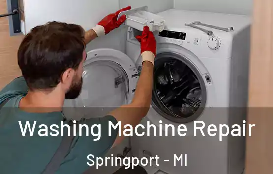 Washing Machine Repair Springport - MI