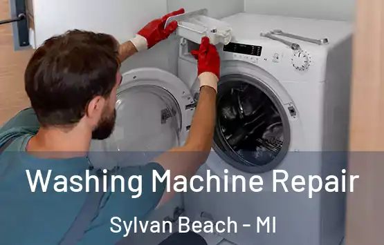  Washing Machine Repair Sylvan Beach - MI