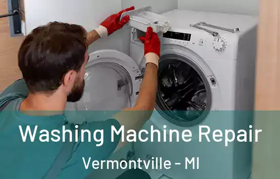  Washing Machine Repair Vermontville - MI