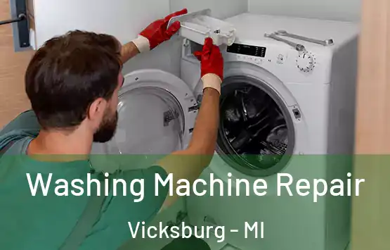  Washing Machine Repair Vicksburg - MI